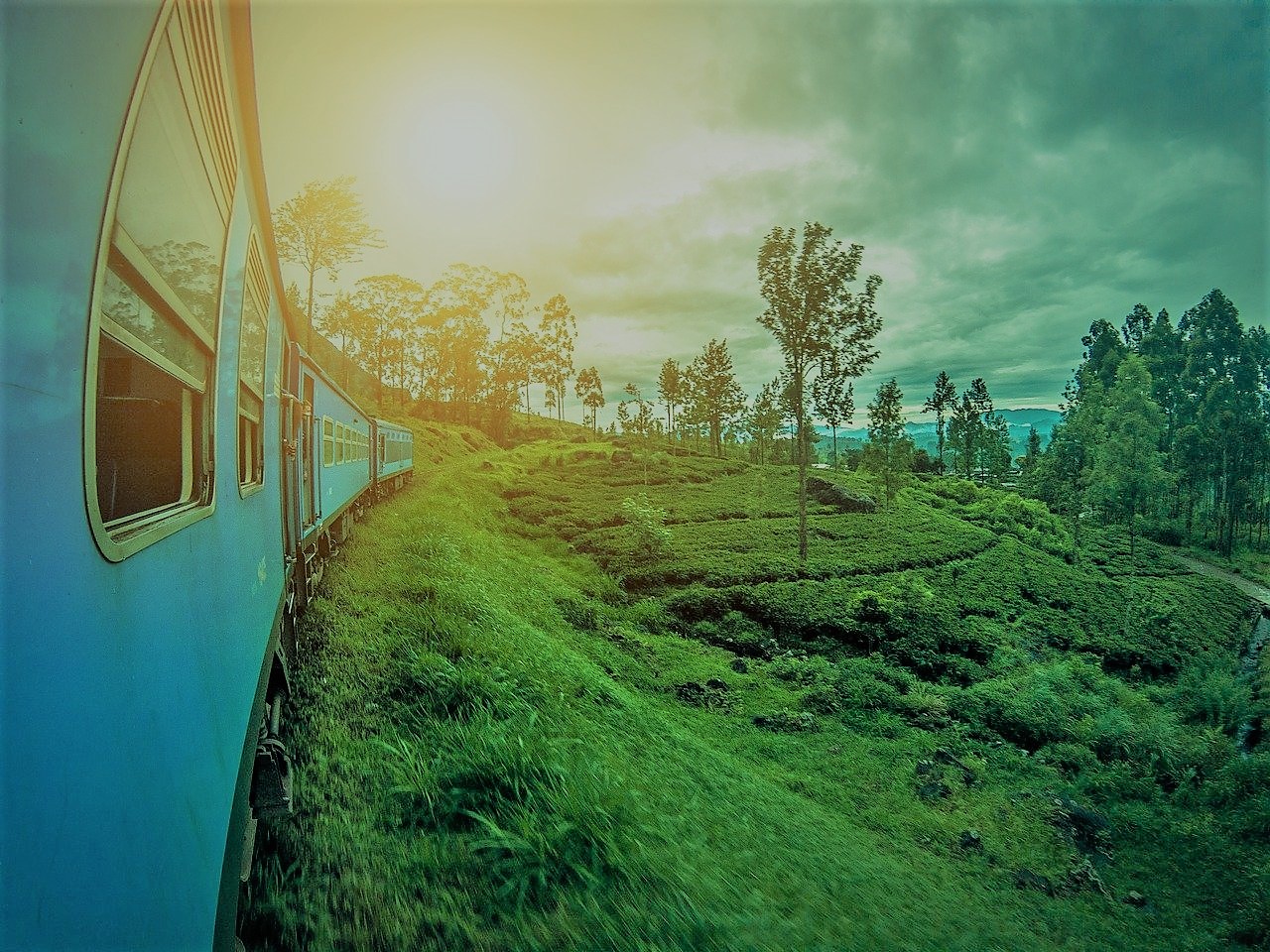 Tea country by train, Sri Lanka